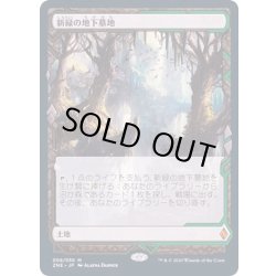 画像1: [EX+](FOIL)(フルアート)新緑の地下墓地/Verdant Catacombs《日本語》【ZNE】