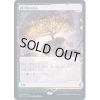 [HPLD](フルアート)剃刀境の茂み/Razorverge Thicket《日本語》【ZNE】