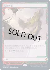 [EX](FOIL)(フルアート)尖塔の庭/Spire Garden《日本語》【ZNE】