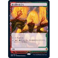(フルアート)燃え柳の木立ち/Grove of the Burnwillows《日本語》【ZNE】