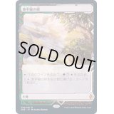 [EX](FOIL)(フルアート)地平線の梢/Horizon Canopy《日本語》【ZNE】