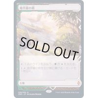 [EX](FOIL)(フルアート)地平線の梢/Horizon Canopy《日本語》【ZNE】