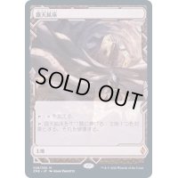 [EX](FOIL)(フルアート)露天鉱床/Strip Mine《日本語》【ZNE】