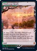 [EX+](フルアート)吹きさらしの荒野/Windswept Heath《英語》【ZNE】