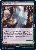 [EX+](フルアート)新緑の地下墓地/Verdant Catacombs《英語》【ZNE】