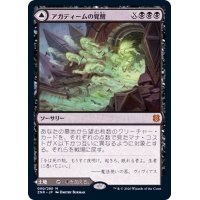 [EX+](FOIL)アガディームの覚醒/Agadeem's Awakening《日本語》【ZNR】