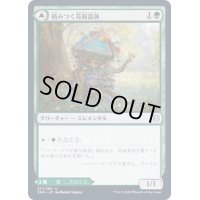 (FOIL)絡みつく花面晶体/Tangled Florahedron《日本語》【ZNR】