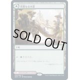 [PLD]枝重なる小道/Branchloft Pathway《日本語》【ZNR】