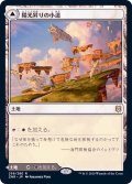 (FOIL)陽光昇りの小道/Brightclimb Pathway《日本語》【ZNR】