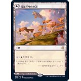 陽光昇りの小道/Brightclimb Pathway《日本語》【ZNR】