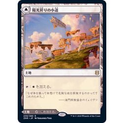 画像1: (FOIL)陽光昇りの小道/Brightclimb Pathway《日本語》【ZNR】