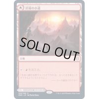 [EX](FOIL)針縁の小道/Needleverge Pathway《日本語》【ZNR】