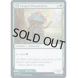 (FOIL)絡みつく花面晶体/Tangled Florahedron《英語》【ZNR】