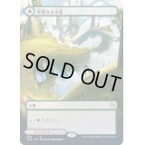 [EX](FOIL)(フルアート)枝重なる小道/Branchloft Pathway《日本語》【ZNR】