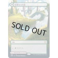 [EX](FOIL)(フルアート)枝重なる小道/Branchloft Pathway《日本語》【ZNR】