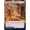 [EX+](FOIL)(フルアート)陽光昇りの小道/Brightclimb Pathway《英語》【ZNR】