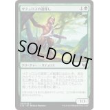 サテュロスの道探し/Satyr Wayfinder《日本語》【Commander 2015】