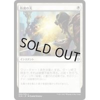 [EX+]防護の光/Sheltering Light《日本語》【XLN】