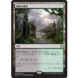 [EX+]森林の墓地/Woodland Cemetery《日本語》【DOM】