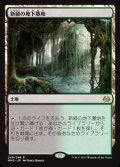 新緑の地下墓地/Verdant Catacombs《日本語》【MM3】