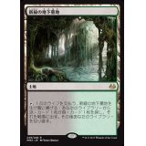 [EX+]新緑の地下墓地/Verdant Catacombs《日本語》【MM3】