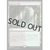 [HPLD]新緑の地下墓地/Verdant Catacombs《日本語》【MM3】