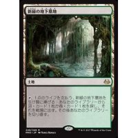 [EX+]新緑の地下墓地/Verdant Catacombs《日本語》【MM3】