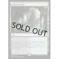 [EX]新緑の地下墓地/Verdant Catacombs《日本語》【MM3】