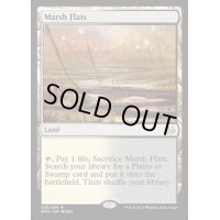 [PLD]湿地の干潟/Marsh Flats《英語》【MM3】
