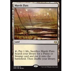 画像1: [EX+]湿地の干潟/Marsh Flats《英語》【MM3】