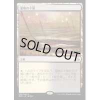[PLD]湿地の干潟/Marsh Flats《日本語》【MM3】