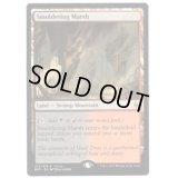 [HPLD]燻る湿地/Smoldering Marsh《英語》【Open House Promos(BFZ)】