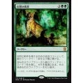 [EX]自然の秩序/Natural Order《日本語》【EMA】