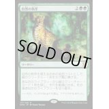 [HPLD]自然の秩序/Natural Order《日本語》【EMA】