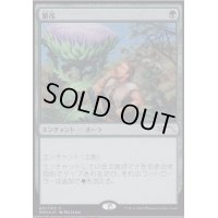(FOIL)繁茂/Wild Growth《日本語》【PRM】