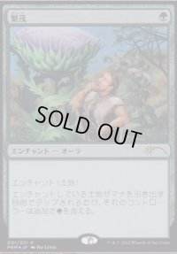 (FOIL)繁茂/Wild Growth《日本語》【PRM】