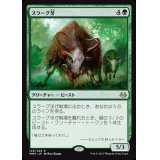 [EX+]スラーグ牙/Thragtusk《日本語》【MM3】