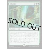 召喚の罠/Summoning Trap《日本語》【MM3】