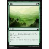 [EX+]探検/Explore《日本語》【MM3】