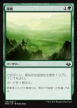 [EX+]探検/Explore《日本語》【MM3】