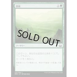 画像1: 探検/Explore《日本語》【MM3】