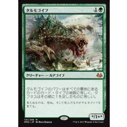 画像1: [EX+]タルモゴイフ/Tarmogoyf《日本語》【MM3】