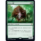 [EX+]スラーグ牙/Thragtusk《日本語》【Commander 2019】