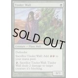 ほくちの壁/Tinder Wall《英語》【Coldsnap Theme Deck Reprints】