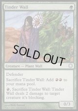 ほくちの壁/Tinder Wall《英語》【Coldsnap Theme Deck Reprints】