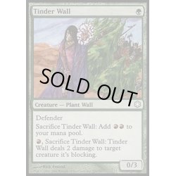 画像1: ほくちの壁/Tinder Wall《英語》【Coldsnap Theme Deck Reprints】