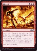 [EX+]癇しゃく/Fiery Temper《日本語》【UMA】