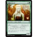 [EX+]楽園のドルイド/Paradise Druid《日本語》【WAR】