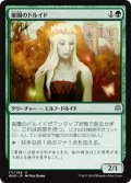 [EX+]楽園のドルイド/Paradise Druid《日本語》【WAR】