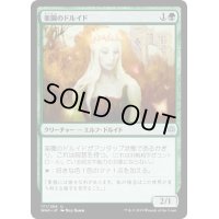 楽園のドルイド/Paradise Druid《日本語》【WAR】